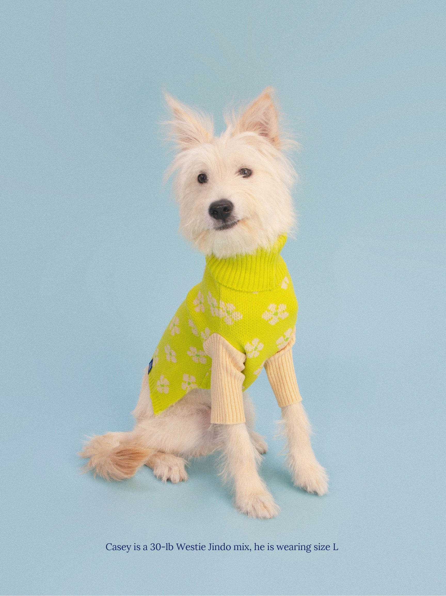 Little Beast Co. - Flower Power Sweater