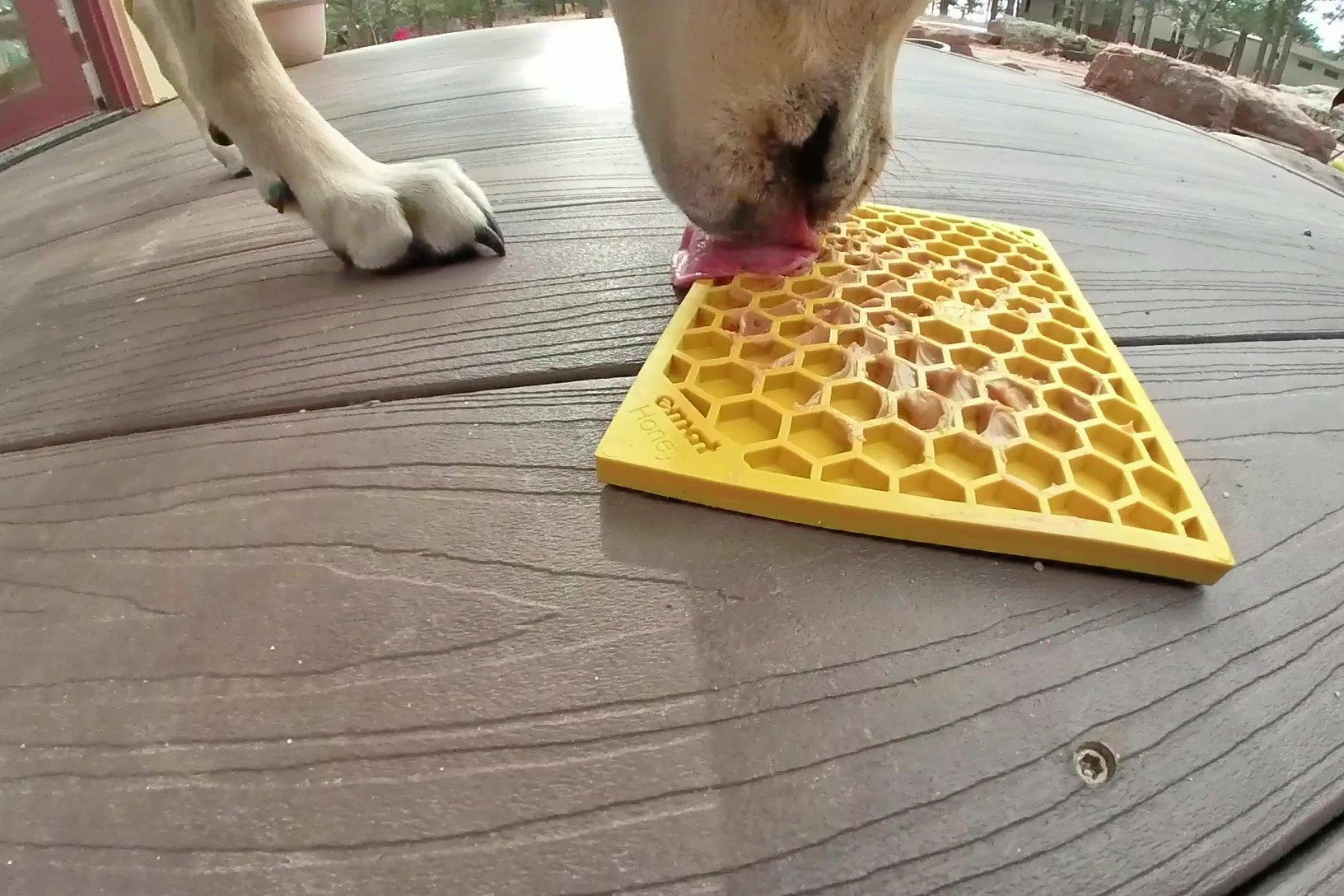 SodaPup Honeycomb Licking Mat - Small