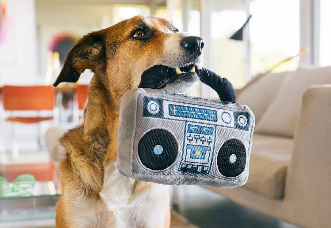 Dog Boo Box 80s Classic - Boop-Box – The Modern Dog Company Store
