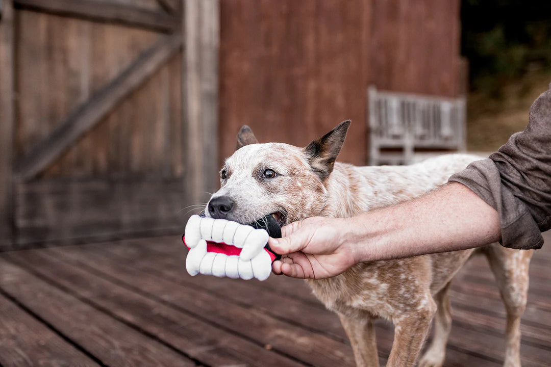 Howling Haunts Collection - Barky's Bite
