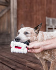 P.L.A.Y. Howling Haunts Collection - Barky's Bite