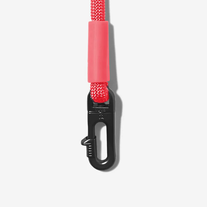Zee.Dog Hands-Free Multi-functional Leash
